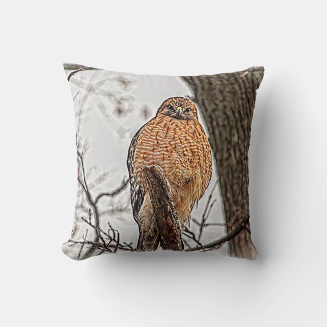 Red Shouldered Hawk in a tree Cushion (Front)