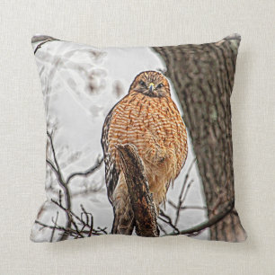 Red Shouldered Hawk in a tree Cushion