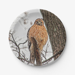 Red Shouldered Hawk in a tree Paper Plate