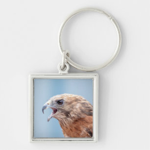 Red Shouldered Hawk Key Ring
