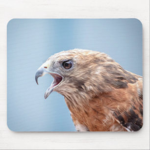 Red Shouldered Hawk Mouse Mat