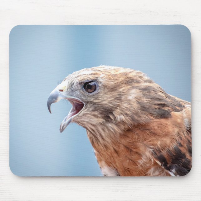Red Shouldered Hawk Mouse Mat (Front)