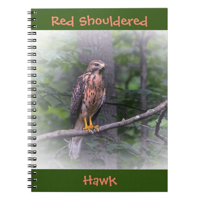 Red Shouldered Hawk Notebook (Front)