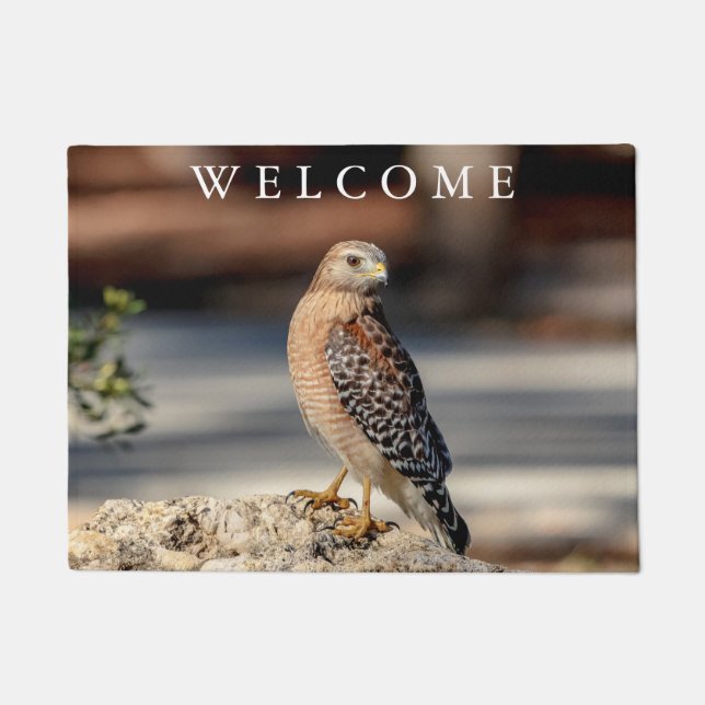 Red Shouldered Hawk on a rock Doormat (Front)