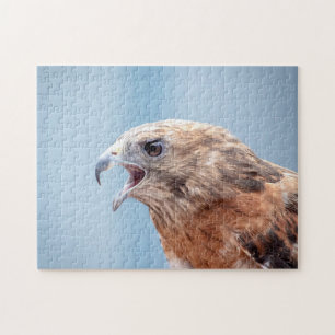 Red Shouldered Hawk on a rock Jigsaw Puzzle