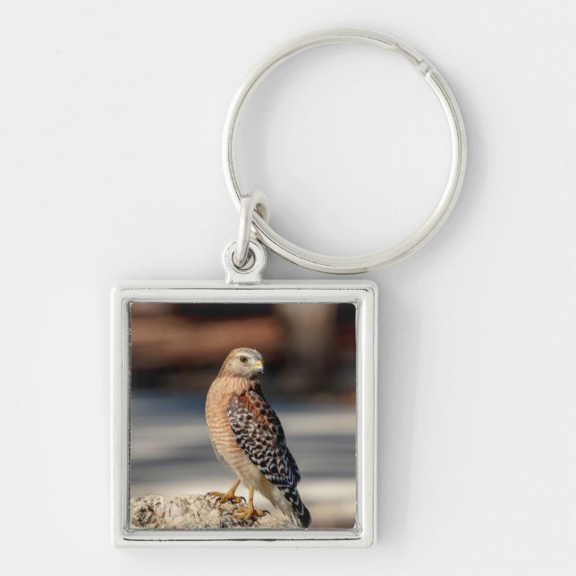 Red Shouldered Hawk on a rock Key Ring (Front)