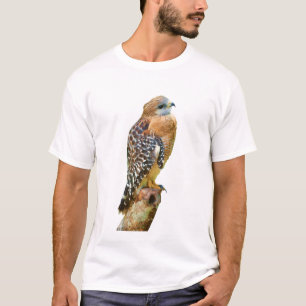 Red-Shouldered Hawk T-Shirt