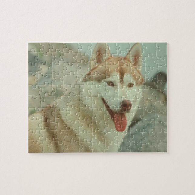 Red Siberian Husky Dog Puzzle (Horizontal)