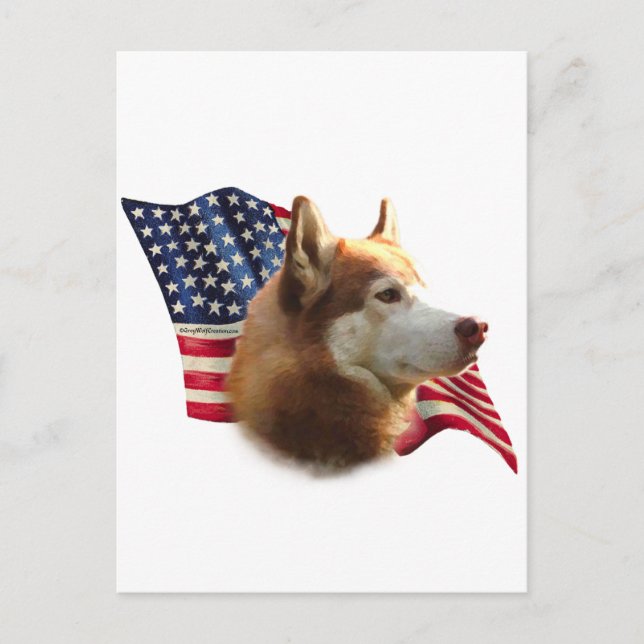 Red Siberian Husky Flag Postcard (Front)