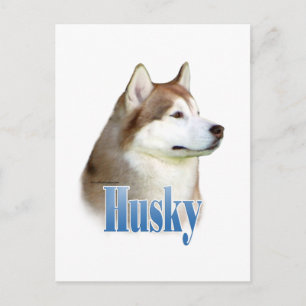 Red Siberian Husky Name Postcard