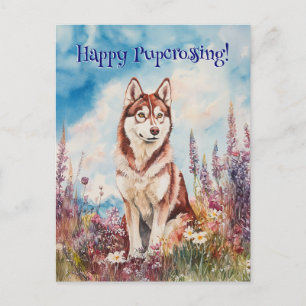 Red Siberian Husky Postcrossing - Postcard