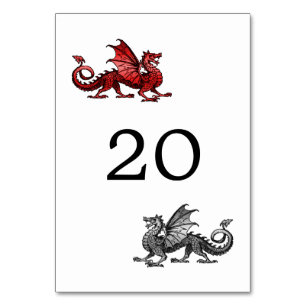 Red Silver Dragon Wedding Table Card