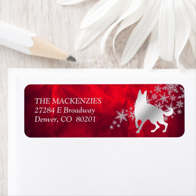 Red Silver Winter German Shepherd Dog Address (Insitu)