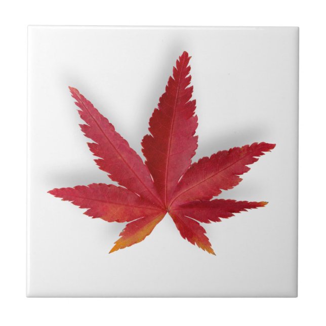 Red single autumn leaf tile (Front)