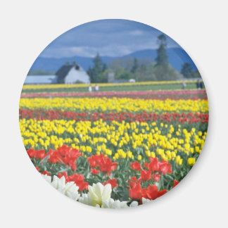 Red Skagit Valley, Mount Rainier, Washington, USA Magnet