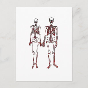 Red Skeleton Couple Postcard