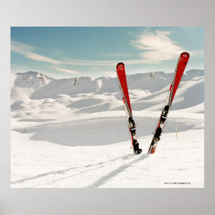 Red Skis Poster