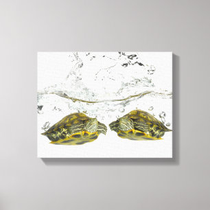 Red slider turtles canvas print