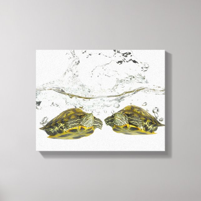 Red slider turtles canvas print (Front)