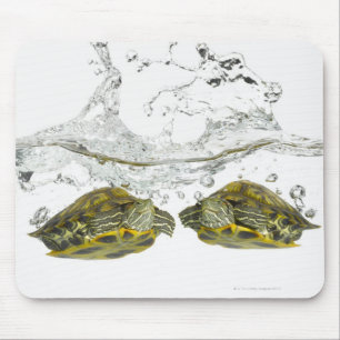 Red slider turtles mouse mat