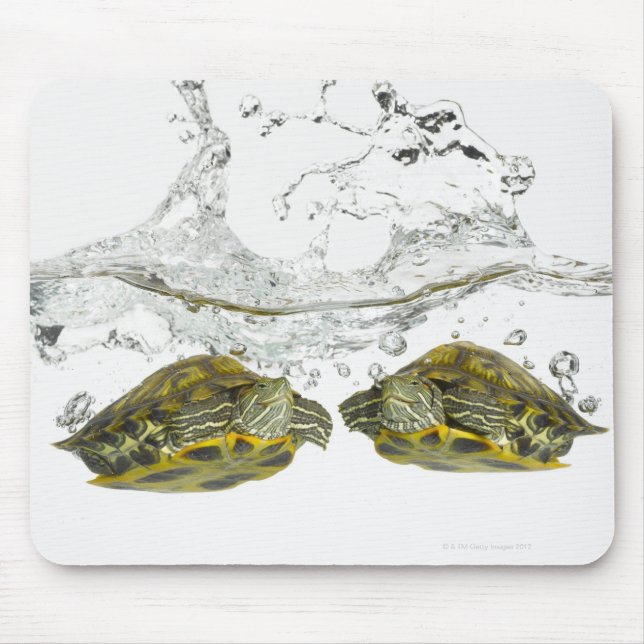 Red slider turtles mouse mat (Front)
