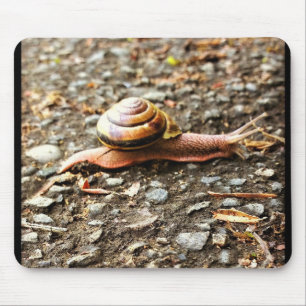 Red Snail on the Ground Mouse Mat