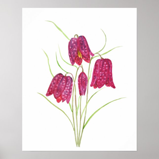red snake head fritillary watercolor poster (Front)