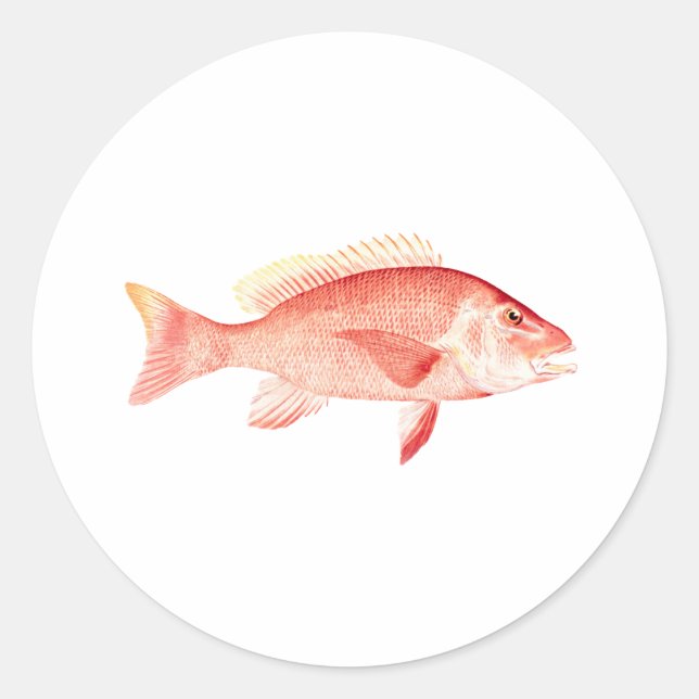 Red Snapper Classic Round Sticker (Front)