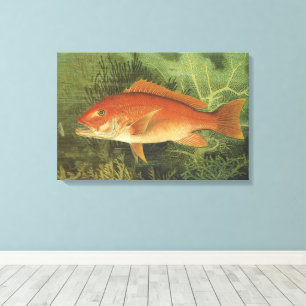 Red Snapper Fish by Kilbourne, Vintage Marine Life Canvas Print