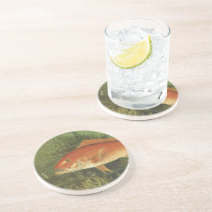 Red Snapper Fish by Kilbourne, Vintage Marine Life Coaster