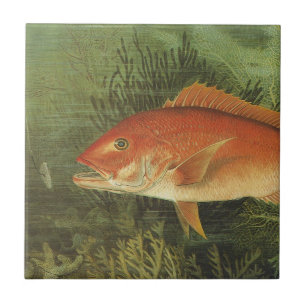 Red Snapper Fish by Kilbourne, Vintage Marine Life Tile