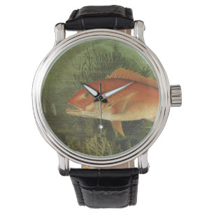 Red Snapper Fish by Kilbourne, Vintage Marine Life Watch
