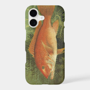 Red Snapper Fish in the Ocean, Vintage Marine Life