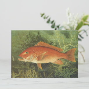 Red Snapper Fish in the Ocean, Vintage Marine Life