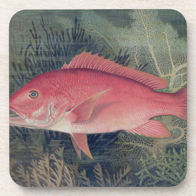 Red Snapper, from 'Game Fishes of the United State Coaster (Front)