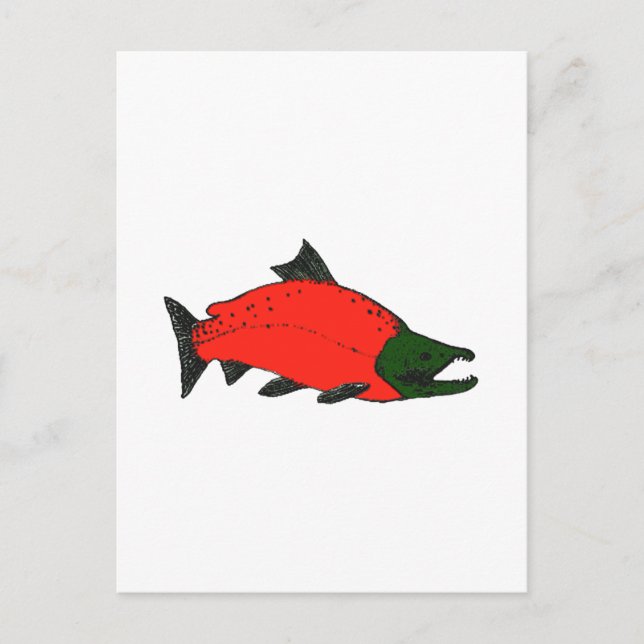 Red - Sockeye Salmon Art Postcard (Front)