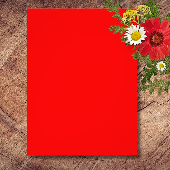 Red Solid Colour | Classic | Elegant | Trendy  Photo Print (Creator Uploaded)