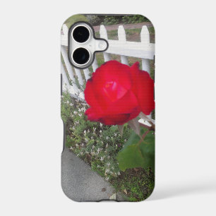 Red Solo Rose