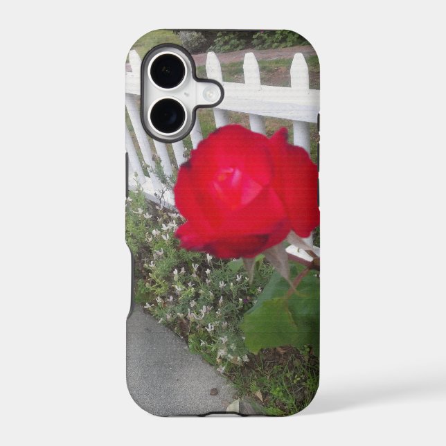 Red Solo Rose (Back)