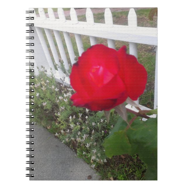Red Solo Rose Notebook (Front)