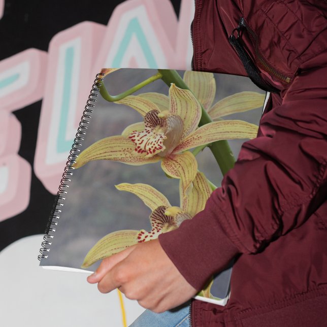 Red Speckled Cymbidium Orchids Floral Notebook (In Situ)
