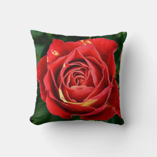 Red Speckled Rose Floral Photography Cushion
