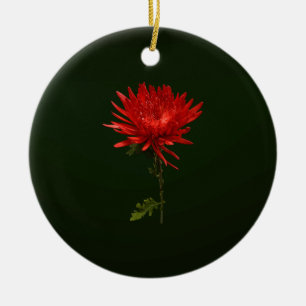 Red Spider Mum Ceramic Tree Decoration
