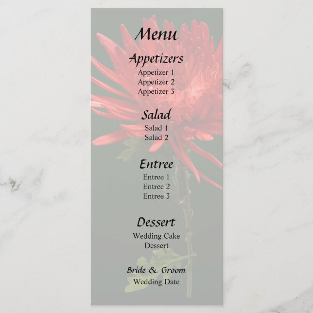 Red Spider Mum Menu (Front)