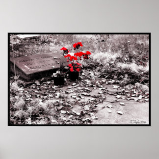 Red Splash Poster
