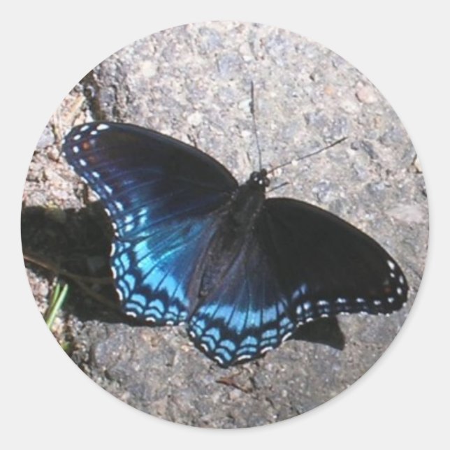 Red Spotted Admiral Butterfly Classic Round Sticker (Front)