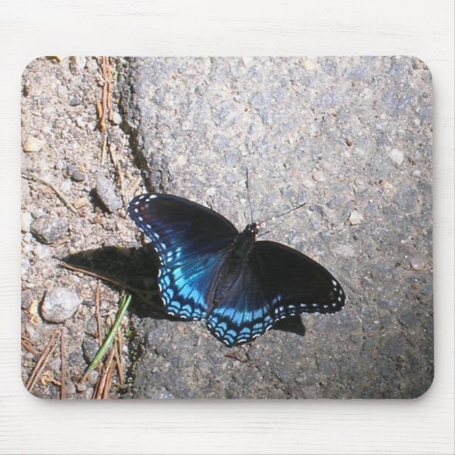 Red Spotted Admiral Butterfly Mouse Mat (Front)