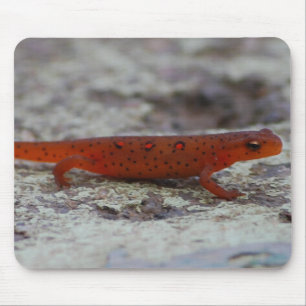 Red Spotted Newt mousepad