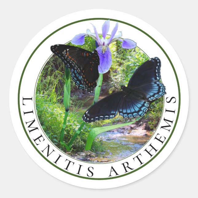 Red Spotted Purple Butterflies and Blue Flag Iris Classic Round Sticker (Front)