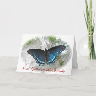 Red Spotted Purple Butterfly Note Card